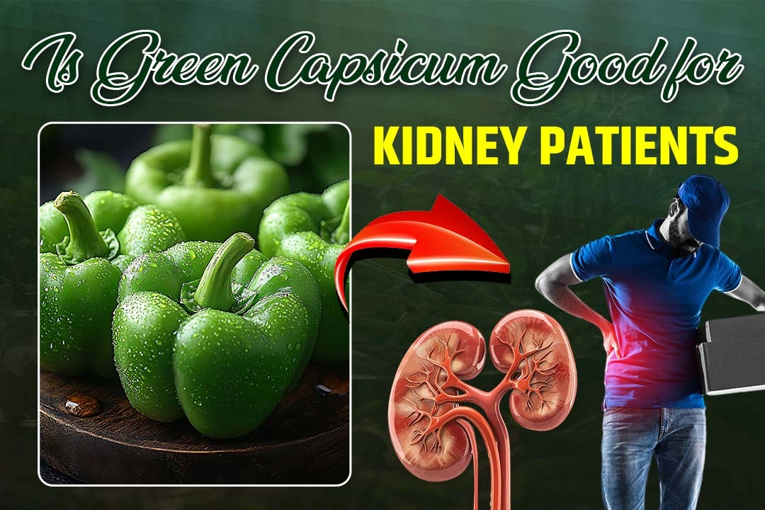 Is Green Capsicum Good for Kidney Patients